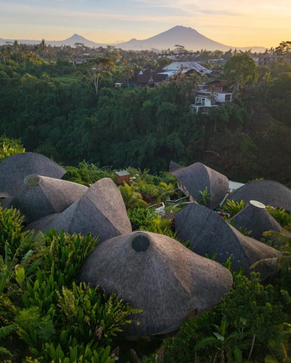 Thatched retreat roofs in the jungle at sunrise, with a volcano behind
